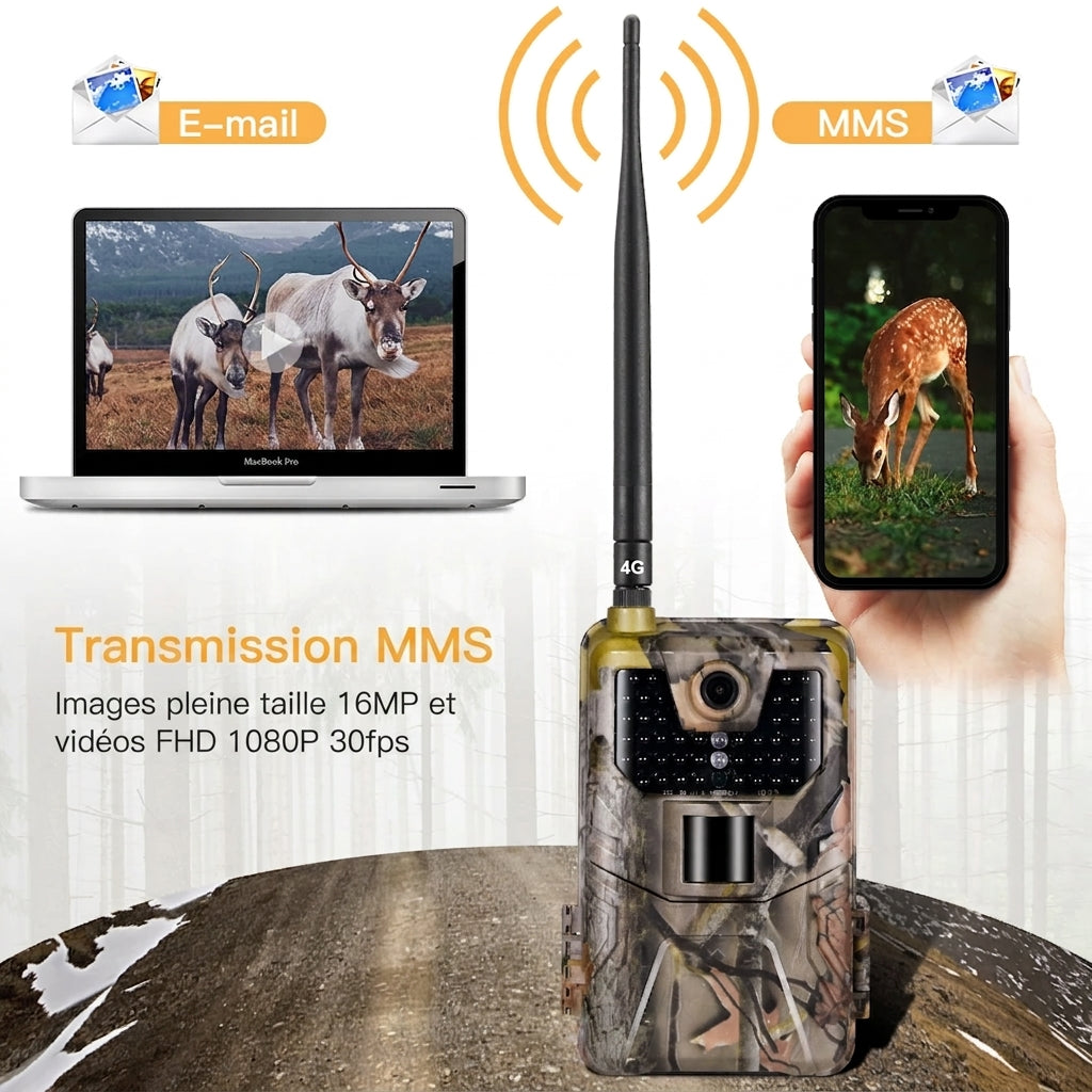 Caméra De Chasse 4G, 1080P & MMS Email