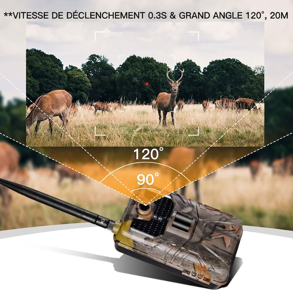 Caméra De Chasse 4G, 1080P & MMS Email