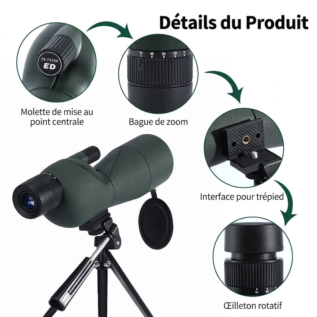Longue Vue Zoom 25-75x60 BAK4 ED