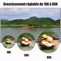 Jumelles Professionnelles Zoom 10-380x100