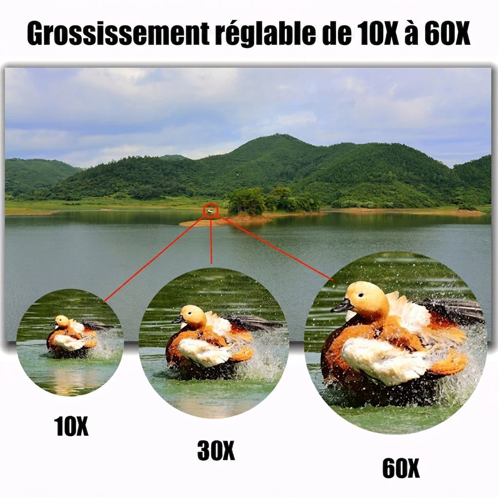 Jumelles Professionnelles Zoom 10-380x100