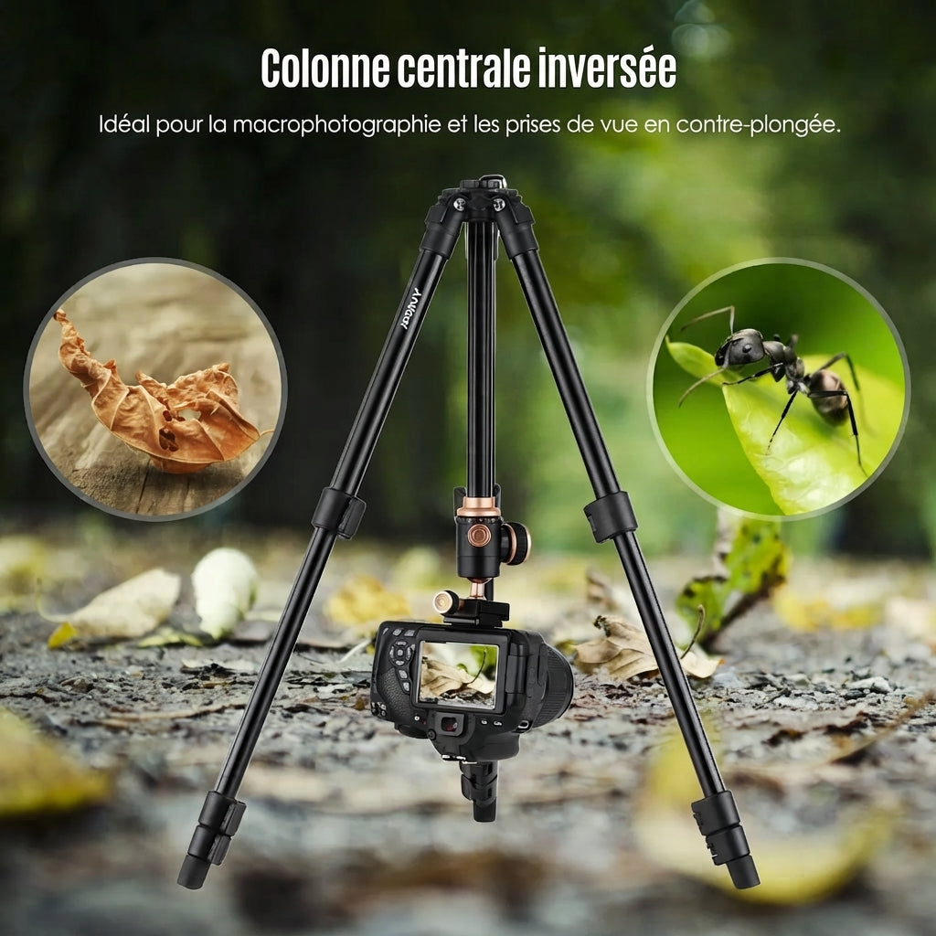 Trépied Photo Professionnel, Rotule Panoramique