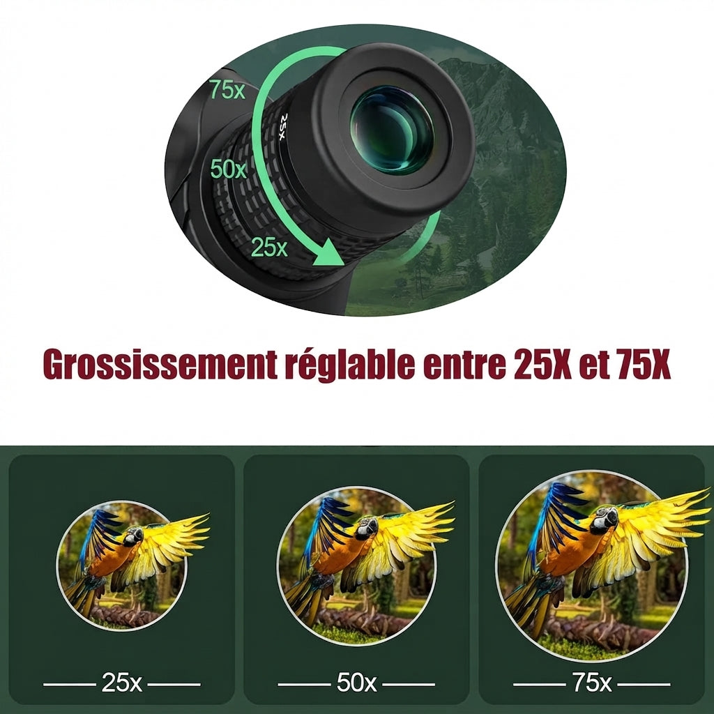 Télescope 25-75x80, Avec Trépied & BAK4
