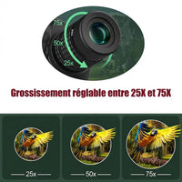 Télescope 25-75x80, Avec Trépied & BAK4