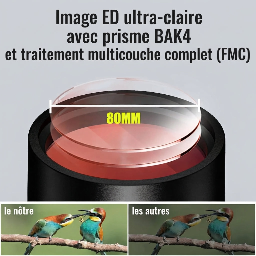Télescope 25-75x80, Avec Trépied & BAK4
