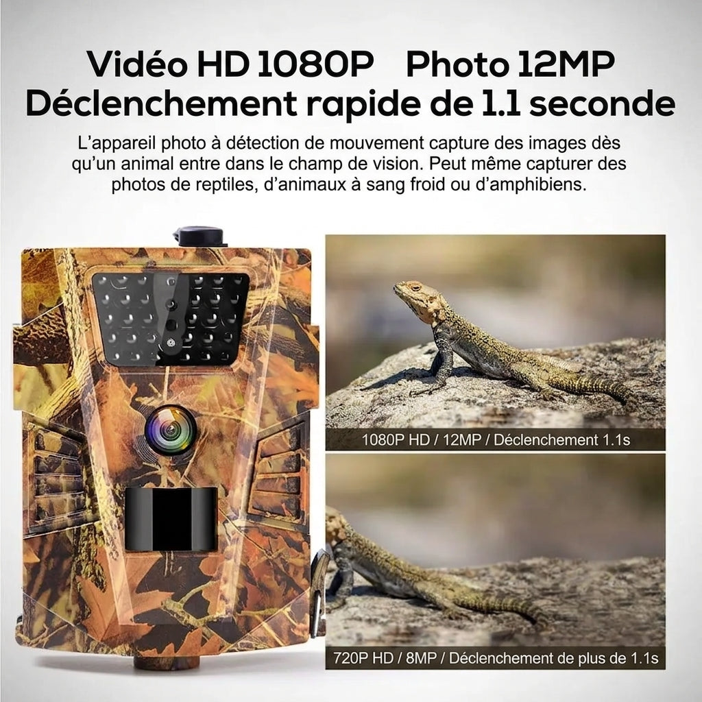 Caméra De Chasse Vision Nocturne, Étanche