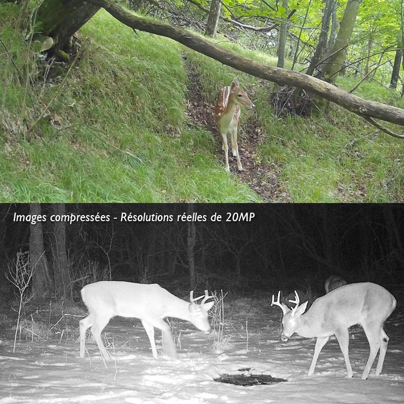 Caméra De Chasse WiFi 4K Vision Nocturne