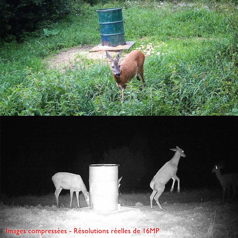 Caméra De Chasse Étanche IP65