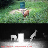 Caméra De Chasse Étanche IP65
