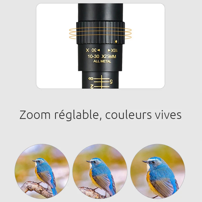 Monoculaire Zoom 10-300x Longue Portée HD