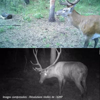 Caméra De Chasse Cellulaire, MMS & 1080P
