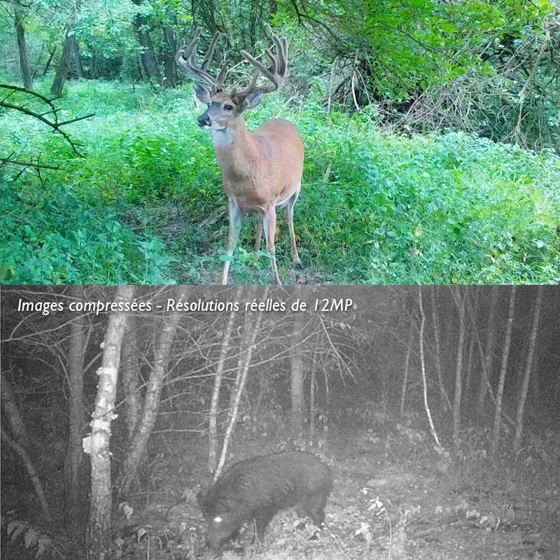 Caméra De Chasse Vision Nocturne, Étanche